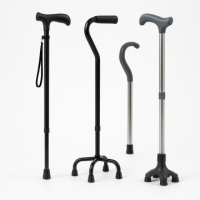 Category Image for Canes