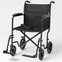 Category Image for Transport Chairs